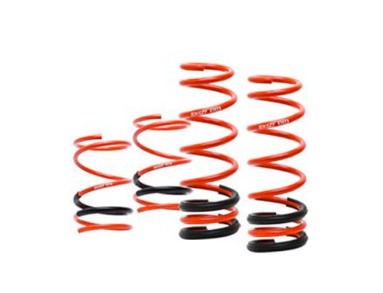 2010-2014 Lamborghini Gallardo Lowering Springs Swift